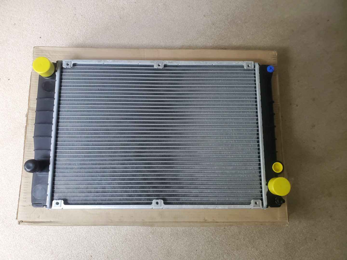 20240901_130640 (Large)_JPG.jpg